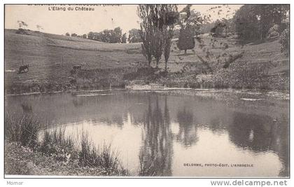 SAINT-LAURENT-de-CHAMOUSSET L'Etang du Château