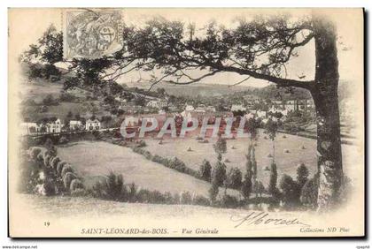 CPA Saint Leonard des Bois Vue Generale