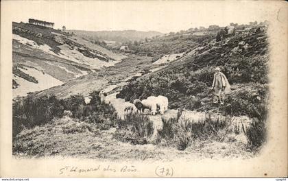 CPA St Leonard des Bois Saint Leonard Berger et moutons