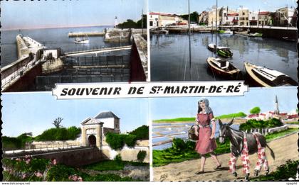 Saint Martin de Re - Souvenir Ane Donkey - CPA