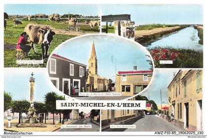 AWZP10-0653-85 - SAINT-MICHEL-EN-L'HERM