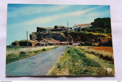 Cpm, Saint Michel en l'Herm, rocher de la Dives, Vendée 85