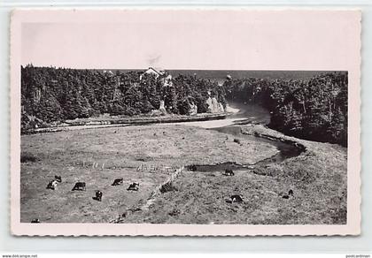Saint-Pierre & Miquelon - Langlade - La belle rivière - Ed. Jean Briand 10