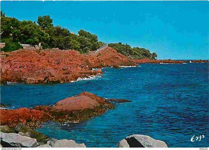 83 - Saint Raphael - Rivage au Parc Santa Lucia - CPM - Voir Scans Recto-Verso