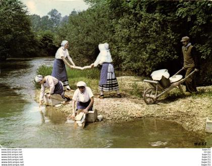 Saint remy en bouzemont "les morelles"