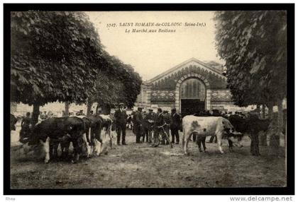76 Saint-Romain-de-Colbosc marche aux bestiaux D76D K76647K C76647C RH097586