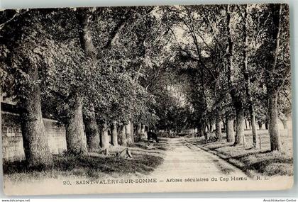 39570680 - Saint-Valery-sur-Somme