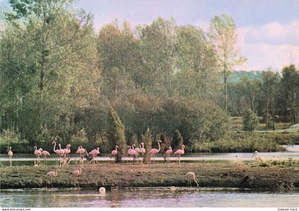 91 SAINT VRAIN PARC DE SAINT VRAIN