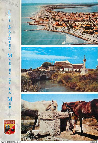 CPM Les Saintes Maries de la Mer