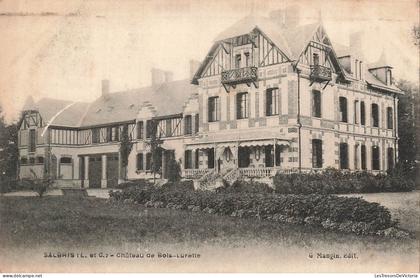 FRANCE - 41 - SALBRIS - Château de Bois Lurette