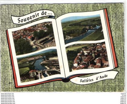 1 cpsm Souvenir de Sallèles d'aude