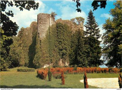 CPM Environs de Sancoins Cher Le Chateau de Jouy