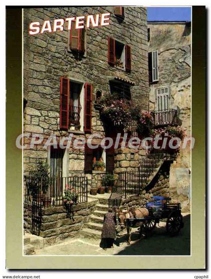 CPSM Souvenir De Corse Rueile De Sartene
