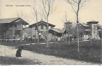 CPA Saujon Les Chalets du Parc