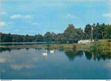 Carte Postale - 21 - Saulieu - Le Lac aux truites aux environs de Saulieu - CPM - Carte Neuve - Voir Scans Recto-Verso -