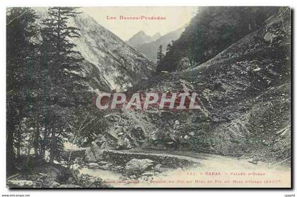 CPA Les Bausses Pyrenees Sauveterre de Bearn Les Vieux Chateau