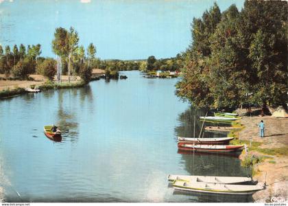 49 SEICHES SUR LE LOIR BORDS DU LOIR