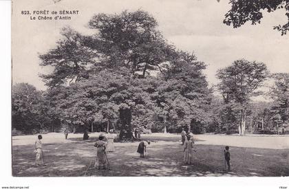 SENART(ARBRE) CHENE