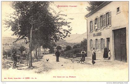 Carte Postale Ancienne de SENONES