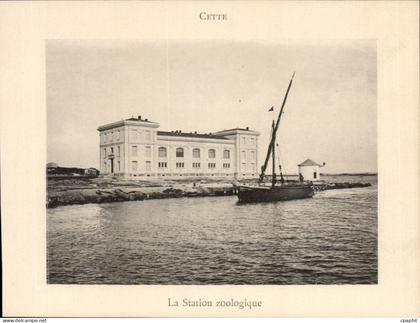 Sete - Cette - Station balneaire - La station zoologique - CPA