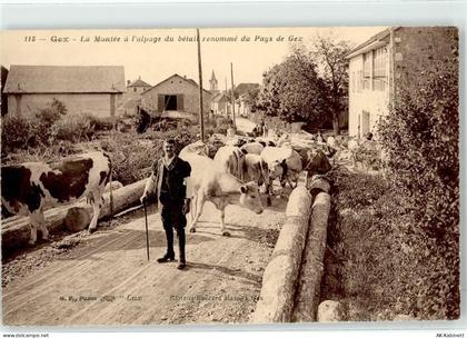 01170 Gex - Rinderherde - 51891013