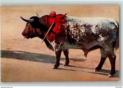 30000 Nimes - Stierkampfarena getroffener Stier - 11053146