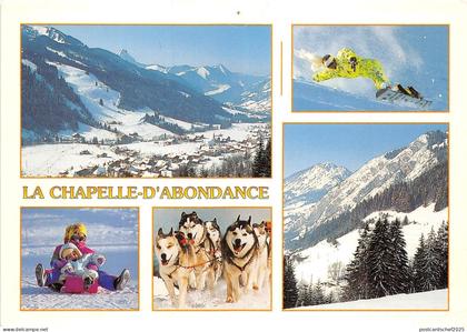 B50718 La Chapelle D`Abondance dog chien   france