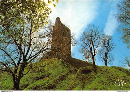 B51225 Montcuq La Tour   france