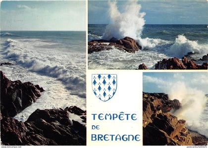 B51926 Bretagne Mer houleuse et tempete en bretagne  france