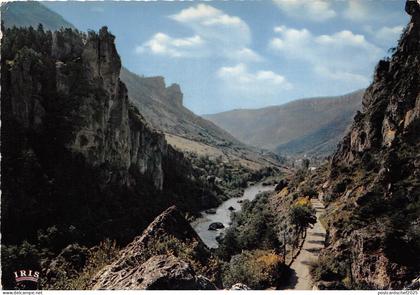 B53115 Gorges du Tarn vu du Pas de Soucy    france