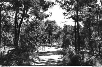 B55837 Foret de Saint Brevin l'Ocean  france