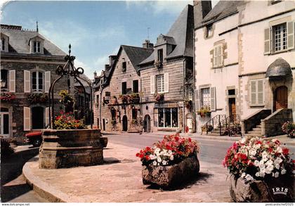 BR13485 Place du Puits Rochefort en Terre   france