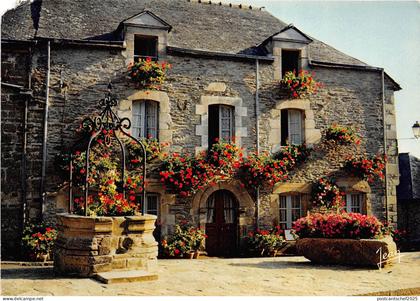 BR13486 Place du Puits Rochefort en Terre   france