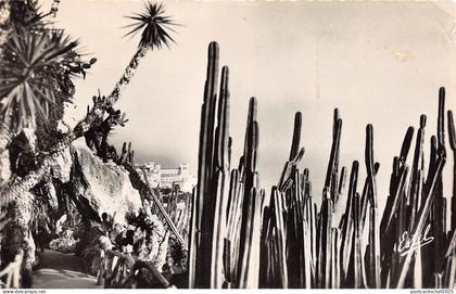 BR16376 Monaco le rocher vu du jardin Exotique