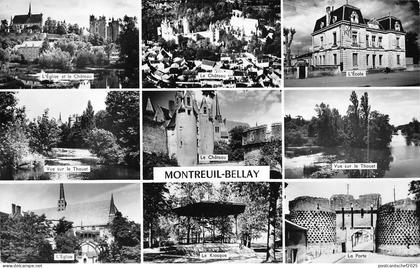 BR17471 Montreuil Bellay   France