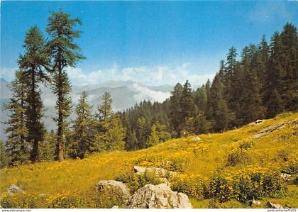 BR20987 France landscape France