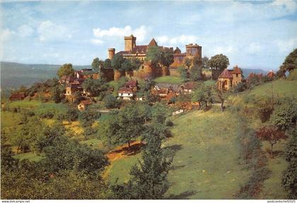 BR21836 chateau de castelnau bretenoux   france