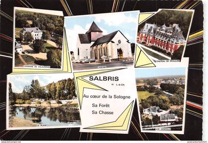 BR22220 Salbris france