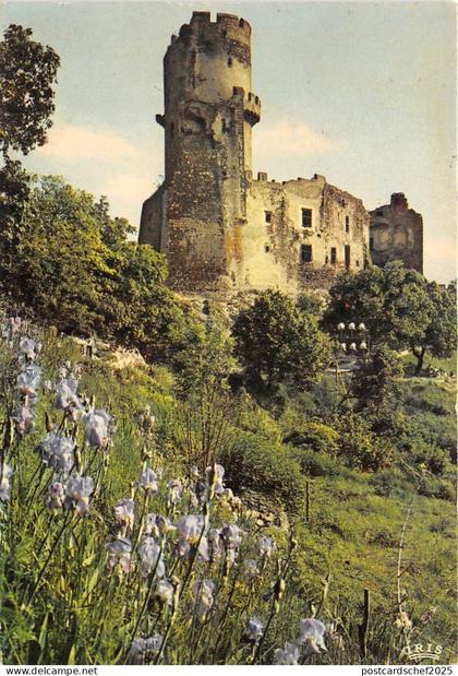 BR25306 Volvic Chateau de Tournoel France