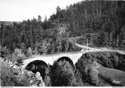 BR29086 St Bonnet de Montauroux le pont des barges france