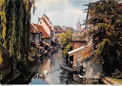 BR3442 La Petite Venise Colmar    france