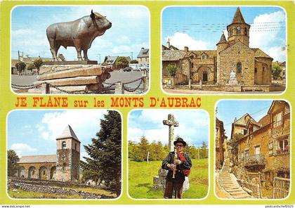 BR4502 le Taureu de Laguiole france