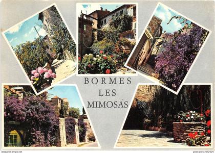 BR5163 Bormes les Mimosas  france