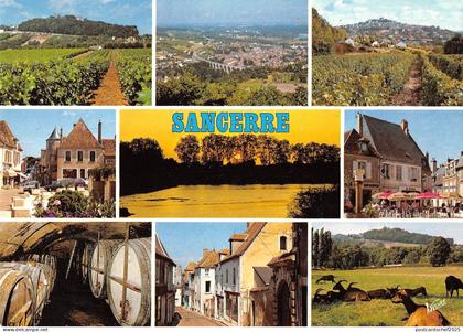 BR52447 Les vignes panorama sur saint satur Sancerre        France