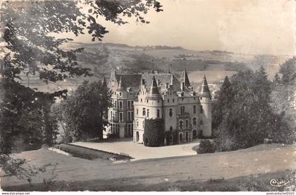 BR53141 Virieu sur Bourbre chateau des pupetieres      France