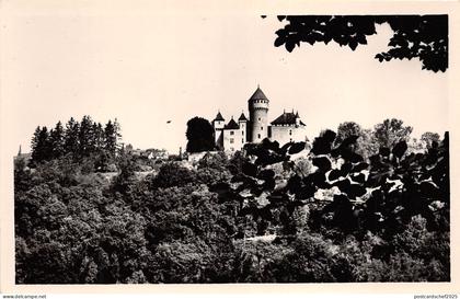 BR7104 Lovagny Gorge du Fier Le Chateau de Montrottier france