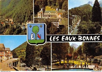BT10257 Les Eaux bonnes         France
