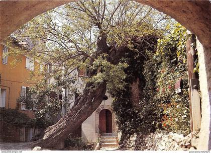 BT10825 Signes une voute typique        France