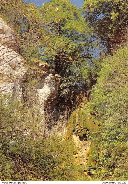 BT7667 Nolay le bout du monde       France