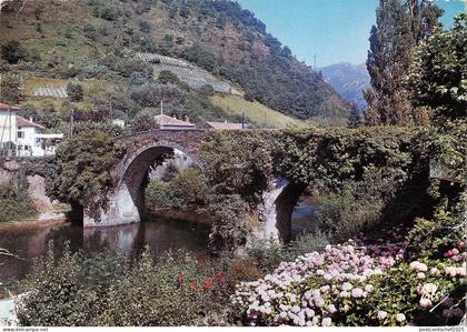 BT8560 Bidarray le vieux Pont        France
